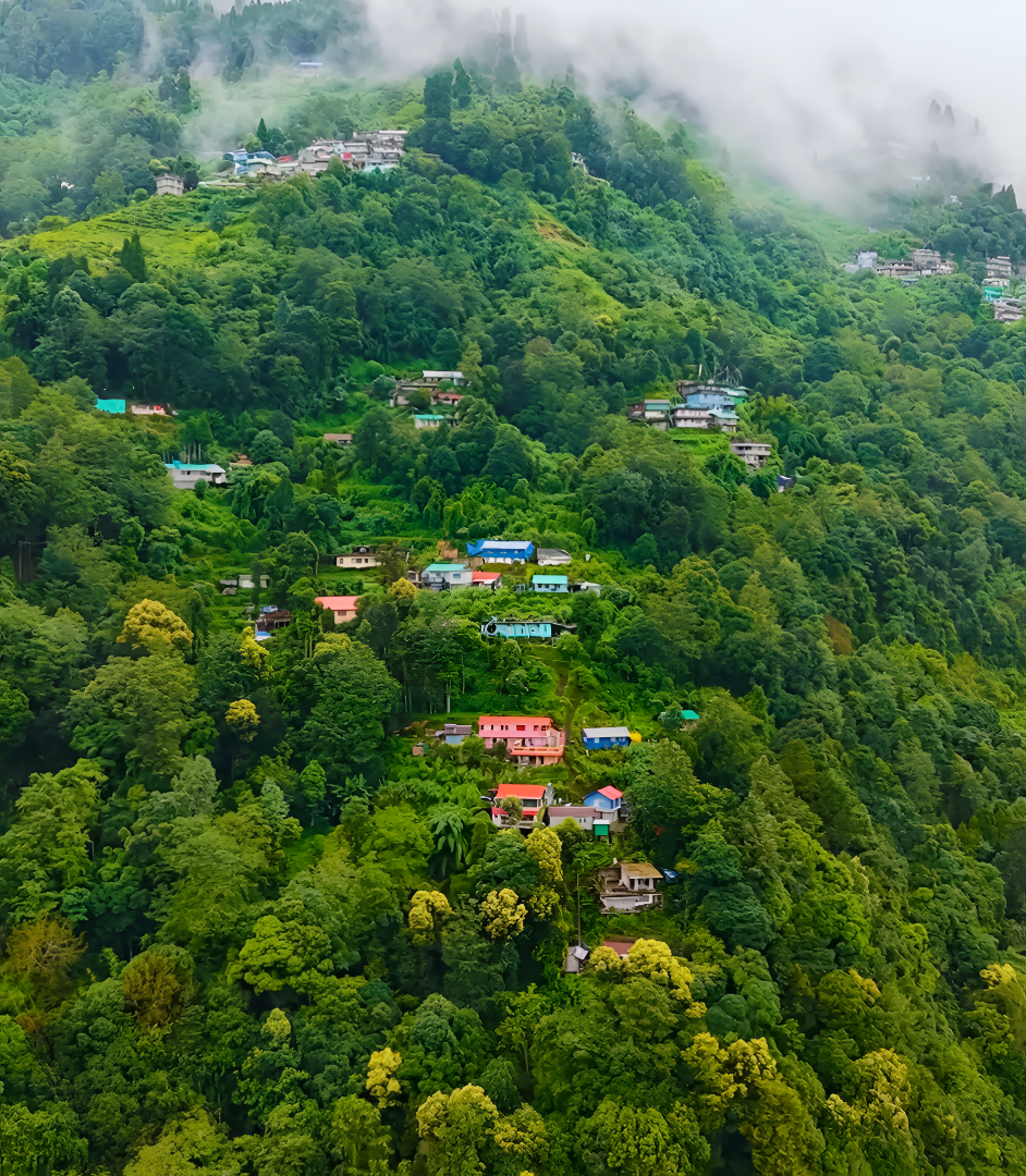 Lower Aloo Bari Busty village